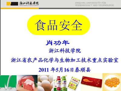 食品安全報告PPT