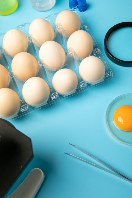 新鮮無菌蛋食品安全農(nóng)業(yè)科技食品培育攝影圖 插畫 下載至來源處