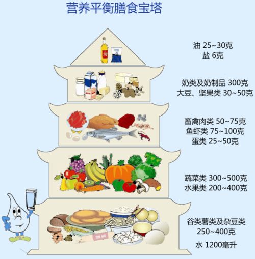 食品安全，人人有責——2020年食品安全日主題思考